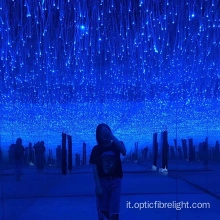 Kit lampada a fibra ottica a led