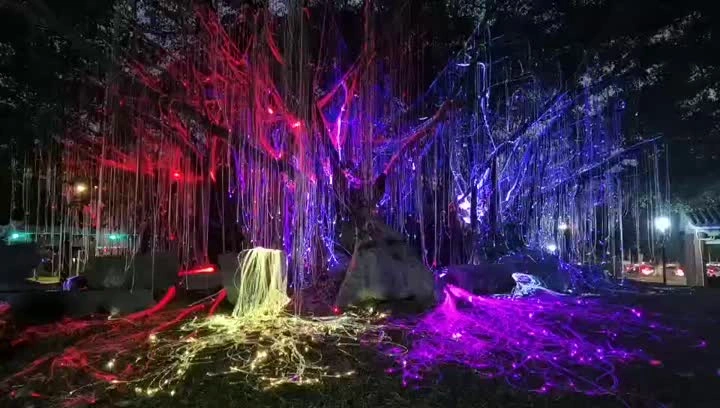 ../static/file/fiber optic cable