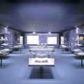 Fiber optic display lighting for Museum