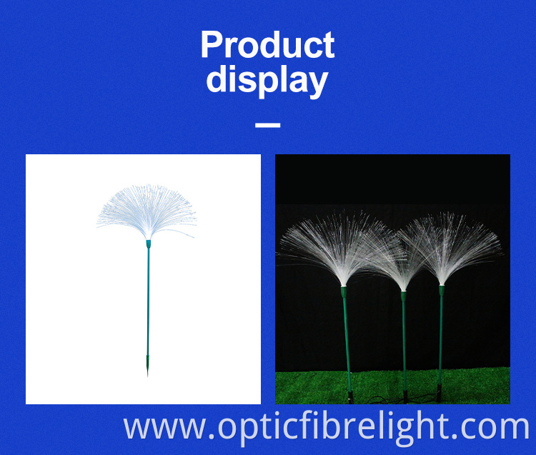 Reeds Light Reeds Light