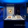Led fiber optic Light Museum display lighting