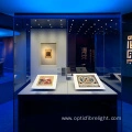 Led fibre optic Light Museum display lighting