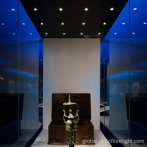 China Led fibre optic Light Museum display lighting Manufactory