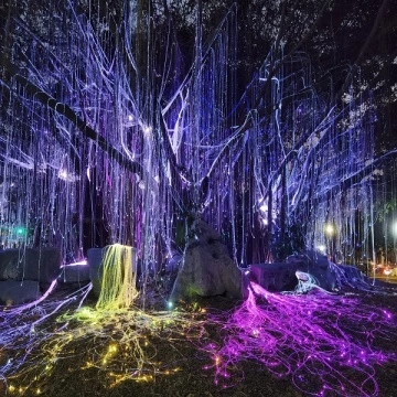 Side Glow Fiber Optic Filament Fiber optic side glow strands cable Factory