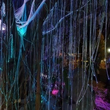 Plastic Fiber Optic Lighting Sparkle Plastic Fiber Optic Cable Lighting Manufactory